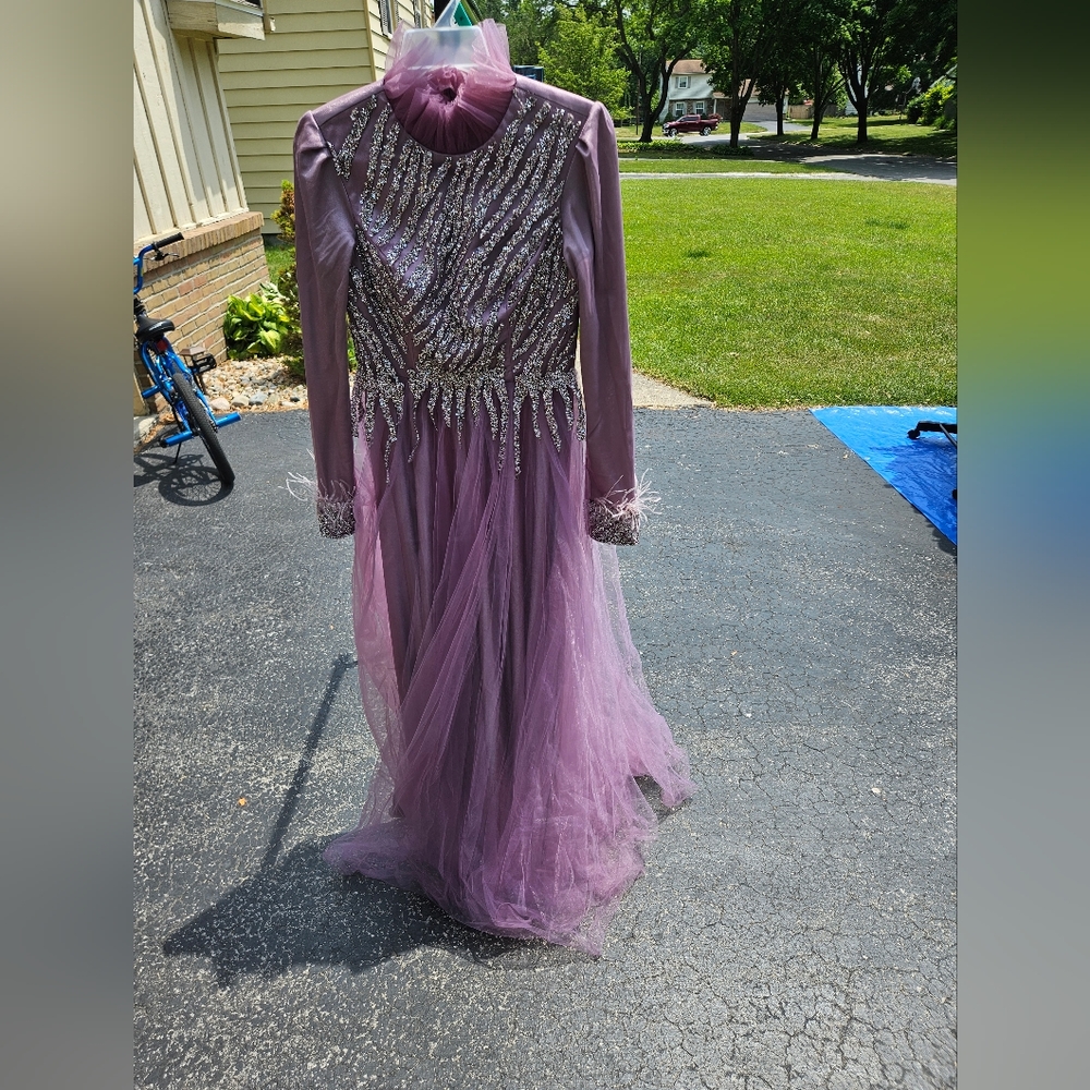 Long Sleeve Pueple Gown